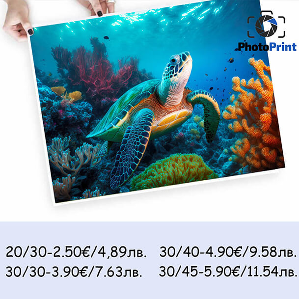 Големи снимки PhotoPrint