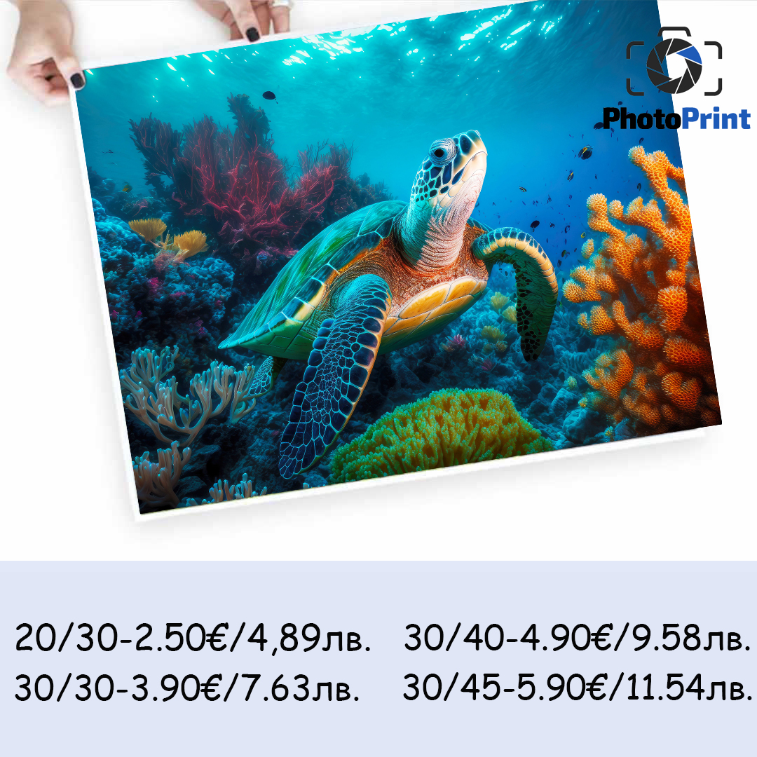 Големи снимки PhotoPrint